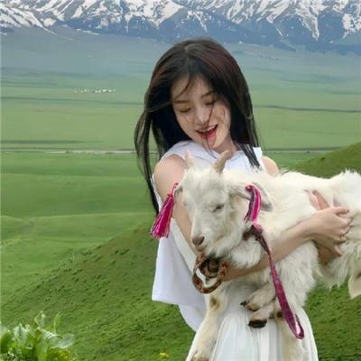续·社长洋行记
